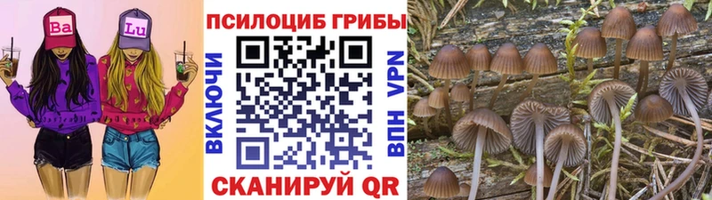 Псилоцибиновые грибы прущие грибы  Абаза 