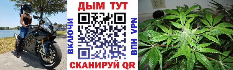 Бошки Шишки VHQ  наркотики  мега   Абаза 